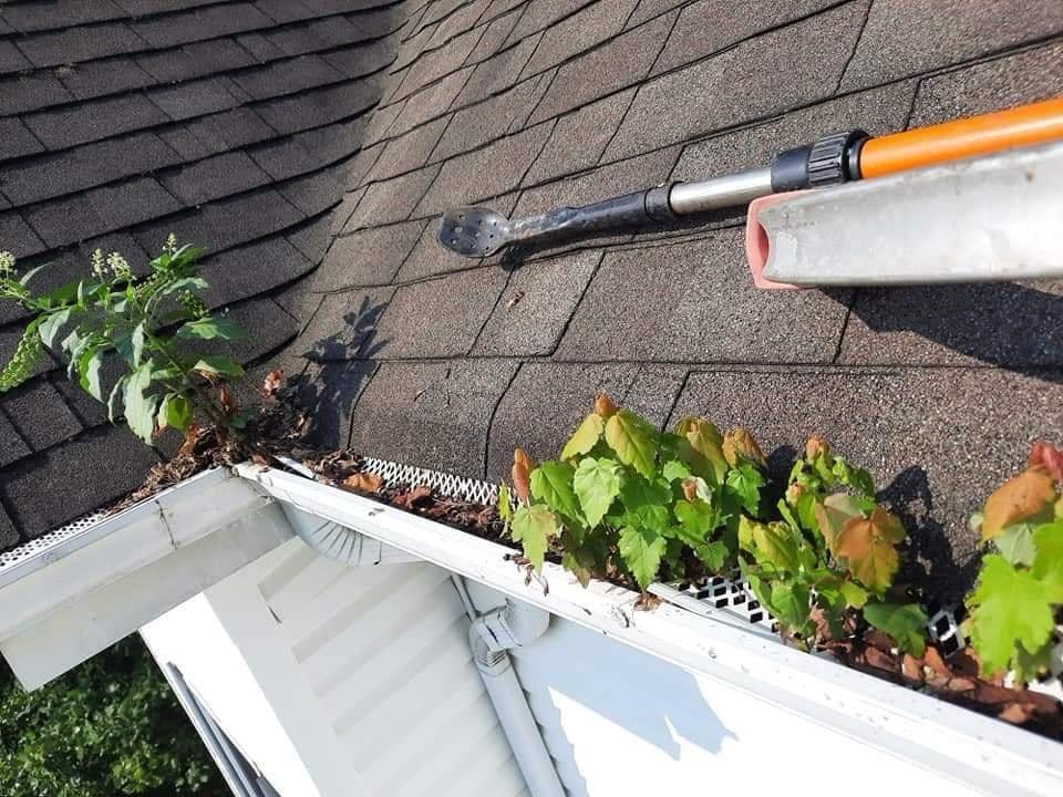 Gutter Cleaning