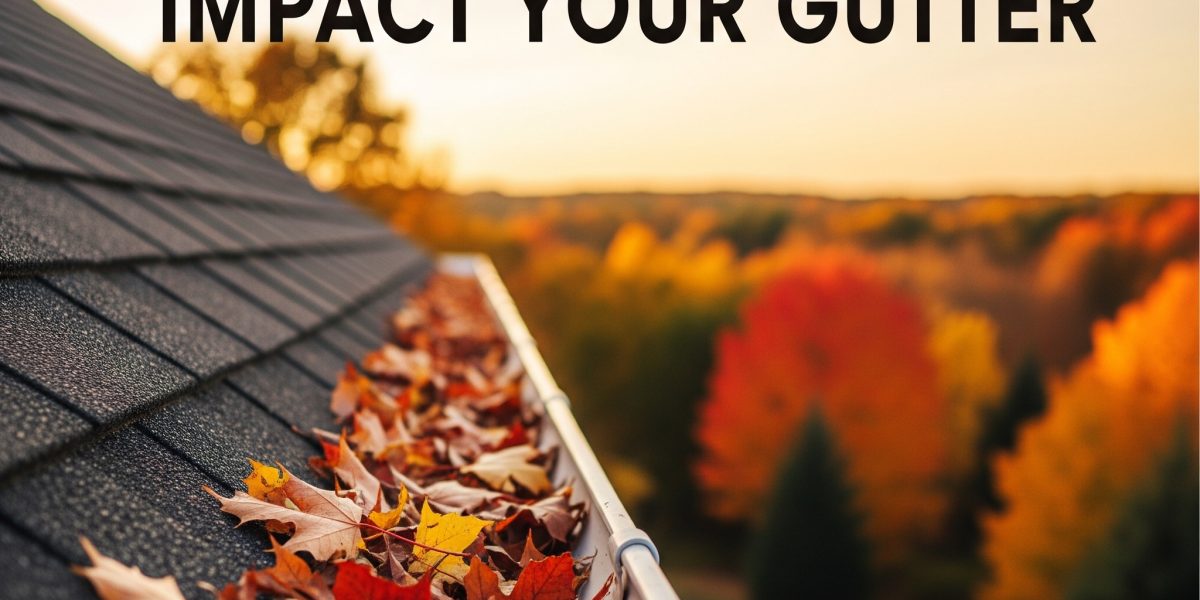 A homeowner inspecting their gutter system in fall, with leaves collected in the gutter